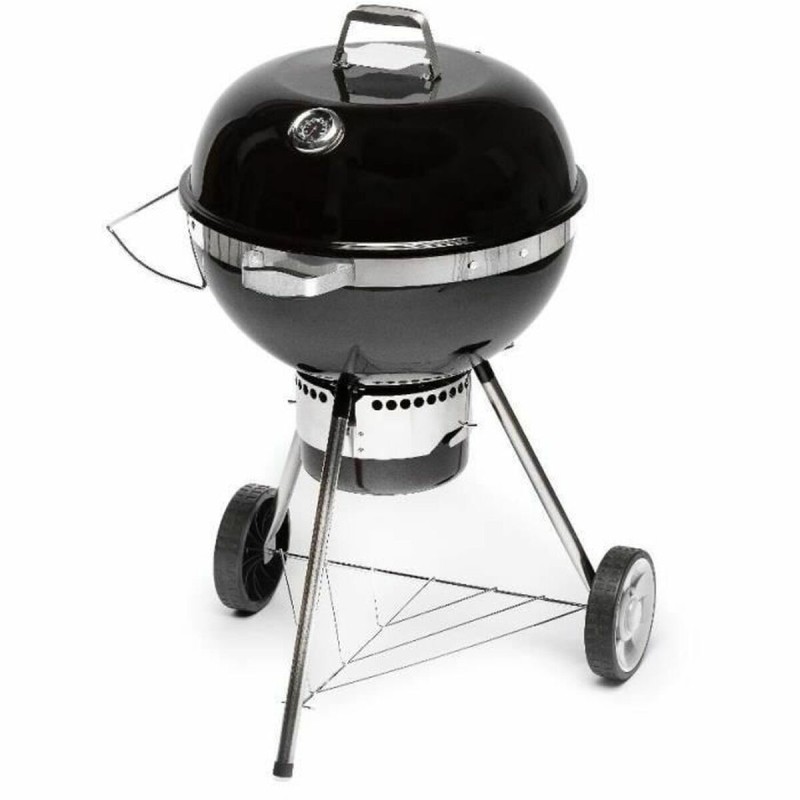 Barbecue Portable Fieldmann FZG 1017 Métal Acier |  Barbecues et ac...