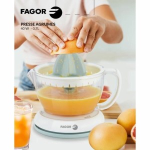 Elektrischer Entsafter Fagor 40 W 700 ml |  Saftpressen   | Chef Up