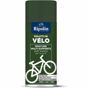 Friteuse à Air Ripolin Vert 400 g