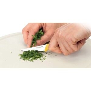 Table knife Tescoma 6 cm 2 Pieces (2) |  Knives and cutlery   | Che...