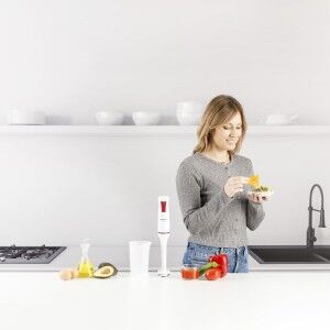Mixeur plongeant Taurus ROBOT750 |  Batteurs   | Chef Up