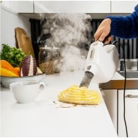 Nettoyeurs vapeur